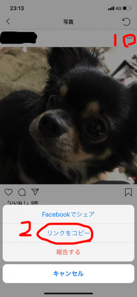 Instagramアプリを起動